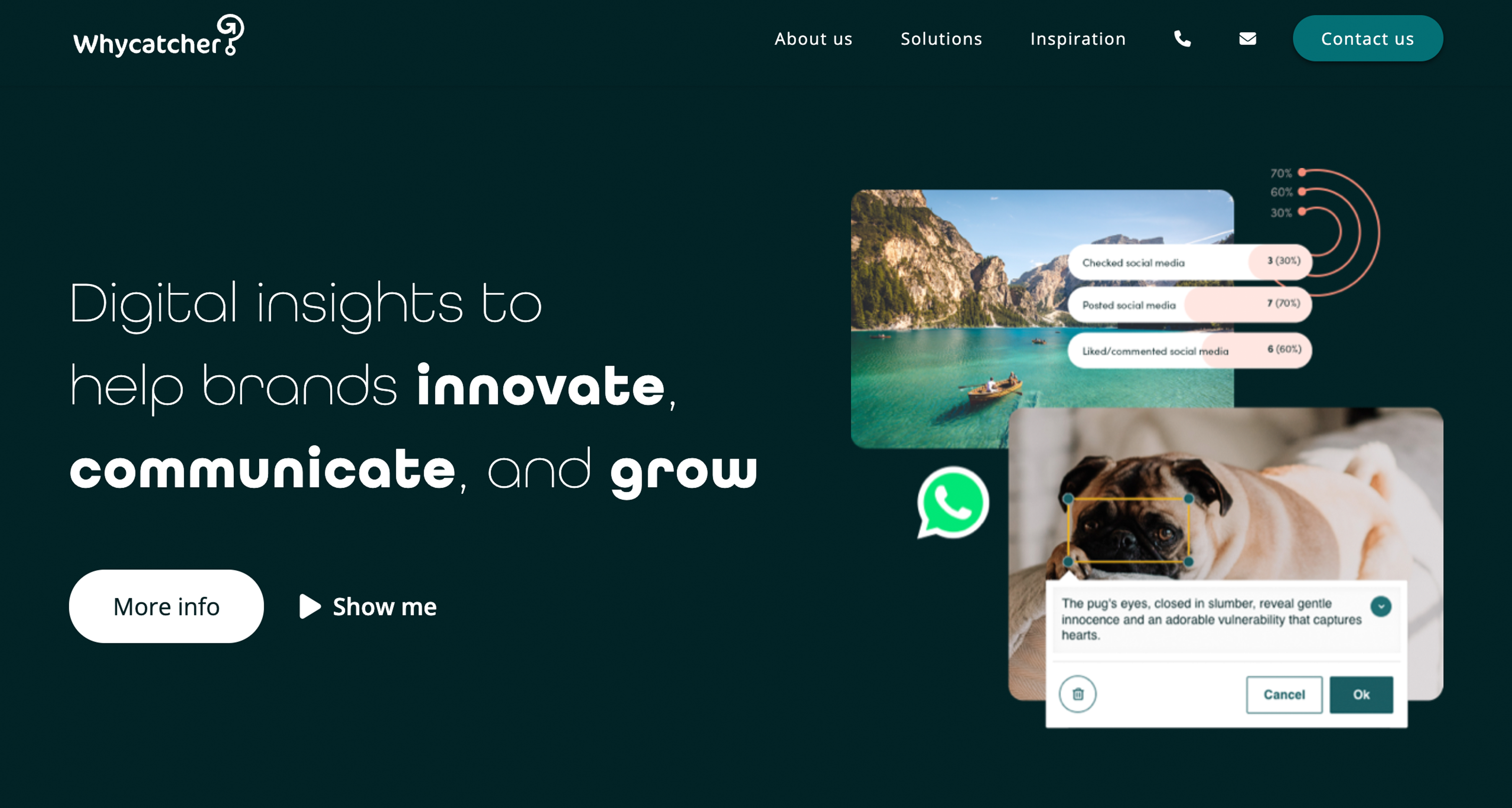 Project preview